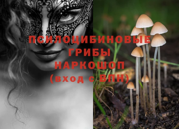 мяу мяу мука Балахна