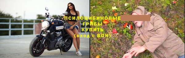 spice Баксан